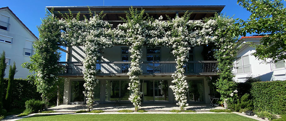 Erny-Architektur Rust Projekt Bellin - Ettenheim